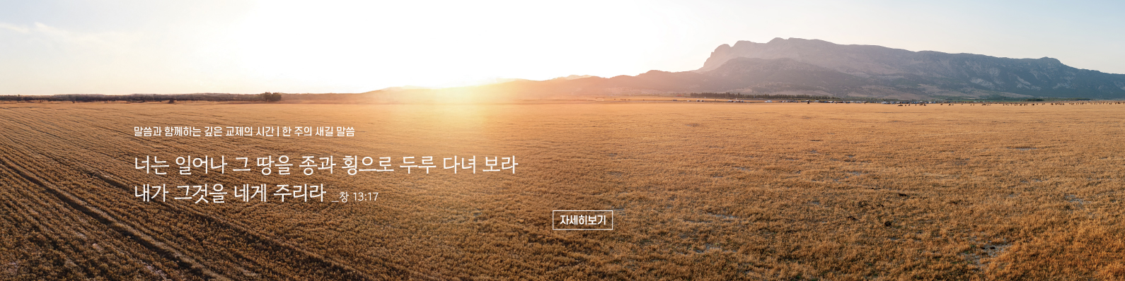 매일성경묵상